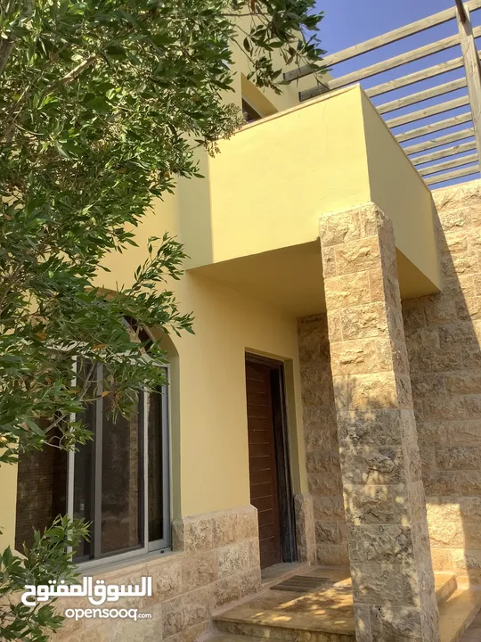 مزرعة في البحر الميت/ الشونه الجنوبية / السويمه / حوض جلد مميزة للبيع للجادين فقط