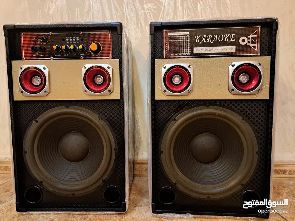 Bluetooth DJ Speakers