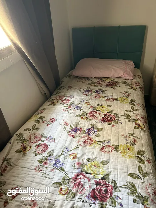 للبيع سرير مفرد وفريزر كبير - (270529517) | السوق المفتوح