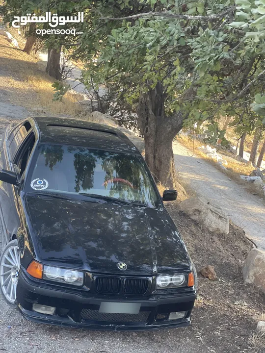 بي ام كوبرا