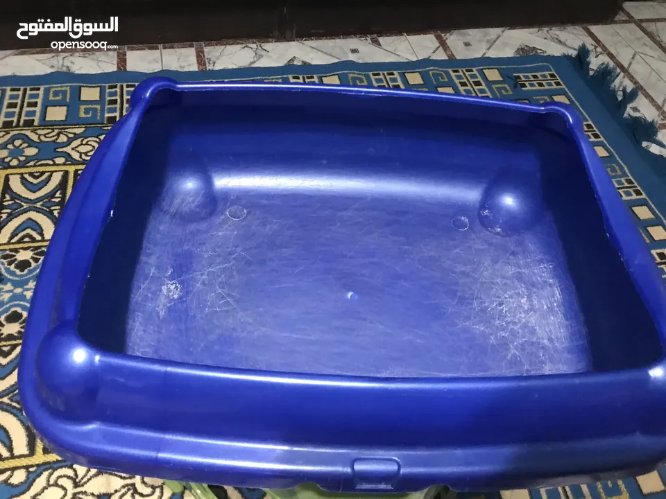 مستلزمات قطط