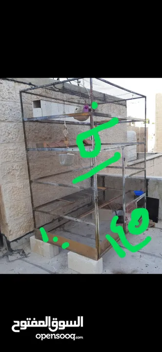 قفص كبير عدد 1 للبيع واقفاص صغيره يفوق عددها 20 قفص للبيع
