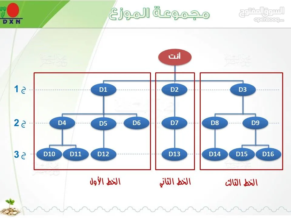 شركه دي اكسن العالميه