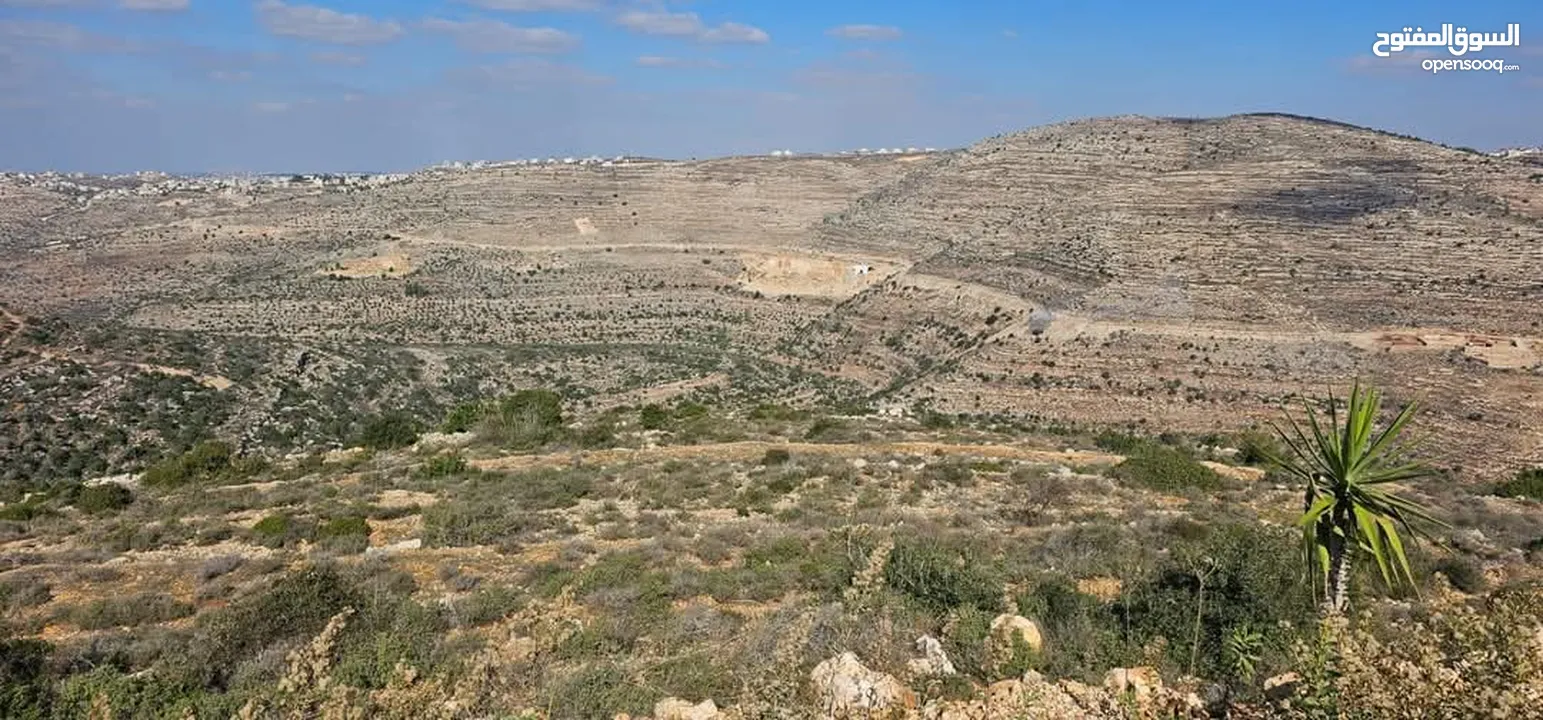 قطعة ارض للبيع في بلدة عطارة