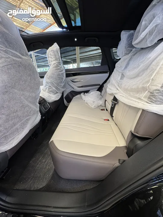 BYD Song PLUS Champion DM-i – Plug-in Hybrid 2024