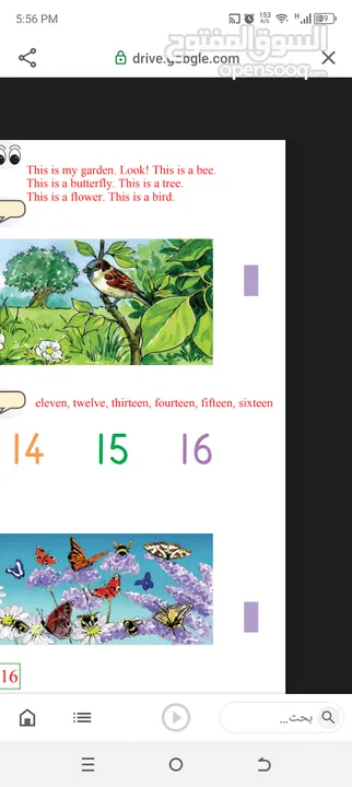 دورة لغة إنجليزية