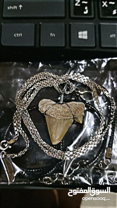 Italian silver necklace with wire wrapped ancient shark tooth fossil + free leather rope