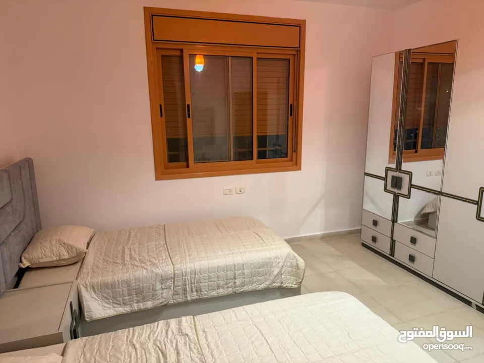 شقة مفروشة / الماصيون