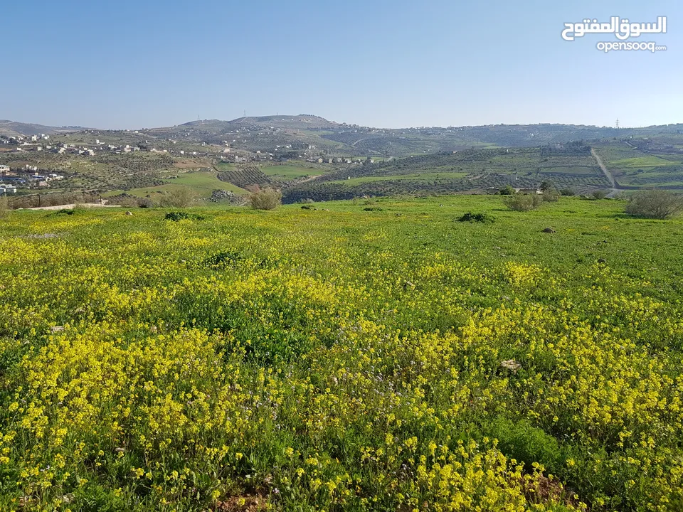 ارض مميزة جدا ذات اطلالة بنوراميا الكمشة صروت شبة مستوية تبعد عن شارع الاردن 7كم بسعر مغري