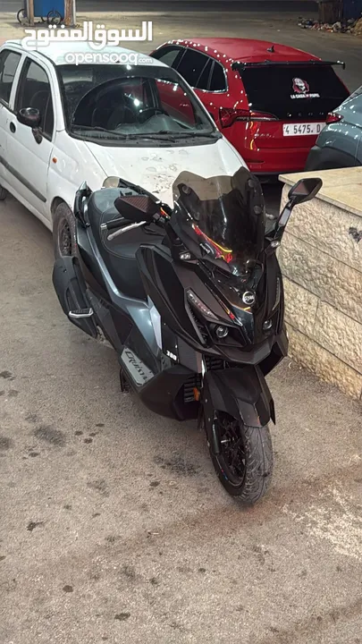 Sym krwz 2022