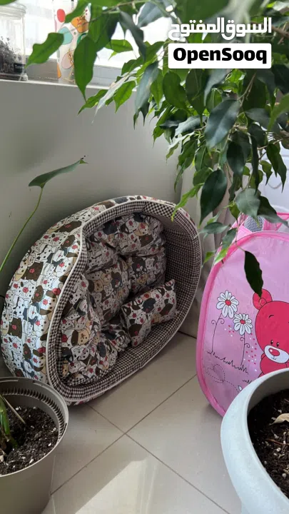 Cat and dog bed