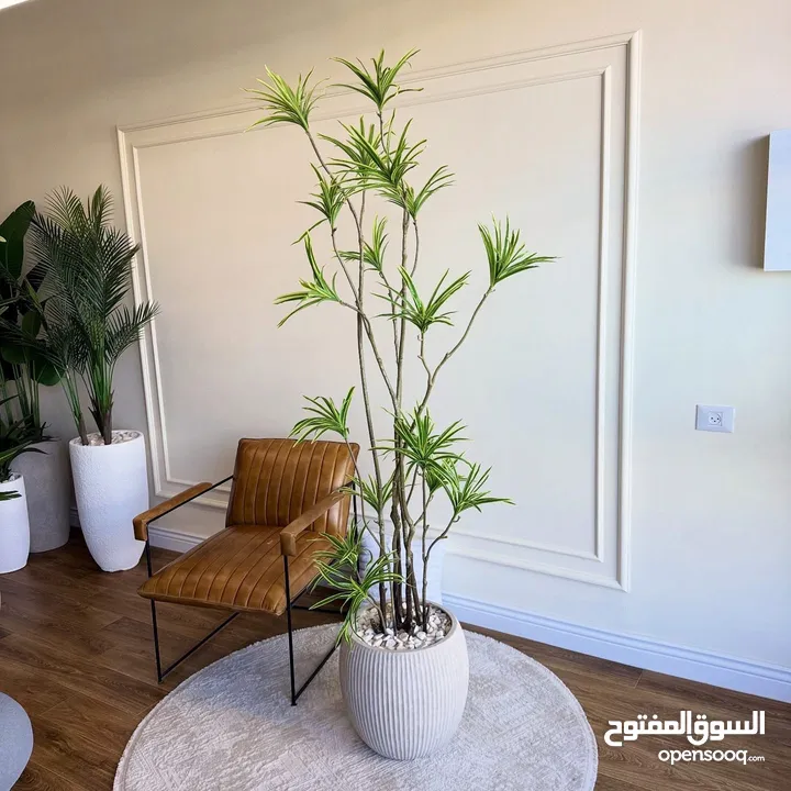 اجمل واحدث القواوبر