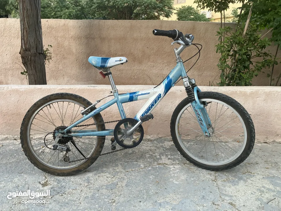 بسكليت ياباني اصلي نمرة 20