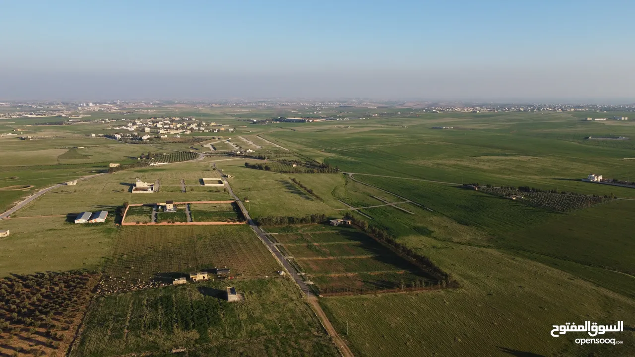ارض مع مزرعة عظم بالاقساط من المالك بسعر الكاش بمساحة  3750 متر مربع جلول طريق المطار