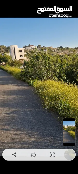 ارض للبيع في برهام قرب بيرزيت مساحه 750متر