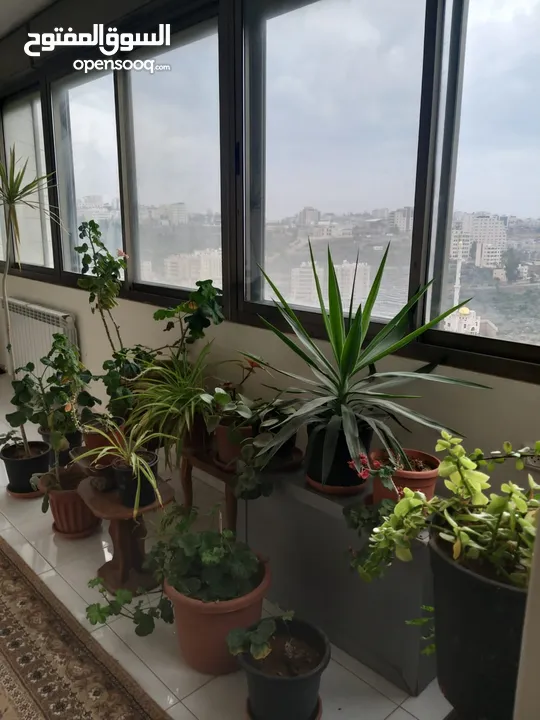 شقة مفروشة للبيع في رام الله