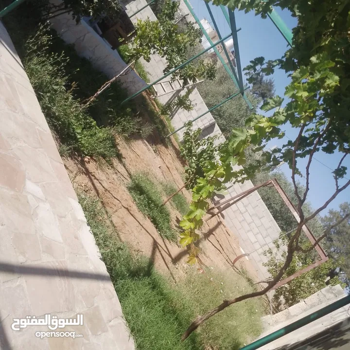 منزل للبيع قصر حلابات غربي قرب مصانع طيبه