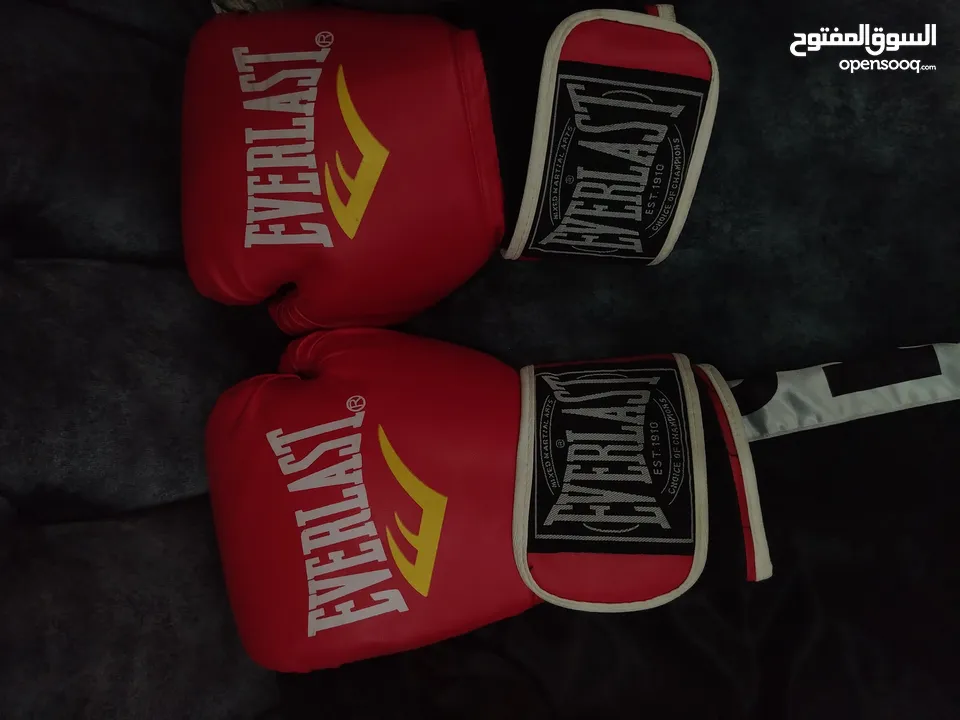 ادوات Muay Thai Kickboxing الوصف مهم