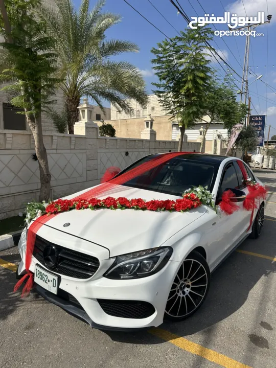 مهدي ابو جابر