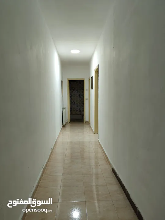 شقة صغيرة ( استديو) مفروشة للإيجار في وسط البلد