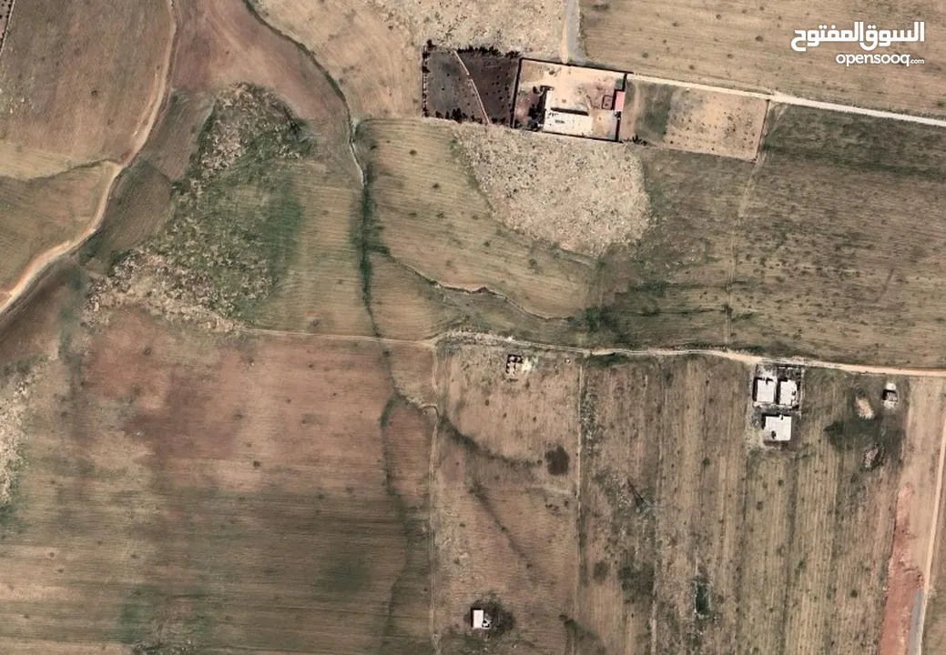 ارض للبيع في اربد مساحة 4400 م قوشان مستقل شرق جسر النعيمة باتجاة طريق الزرقاء الجديدة تنظيم زراعي
