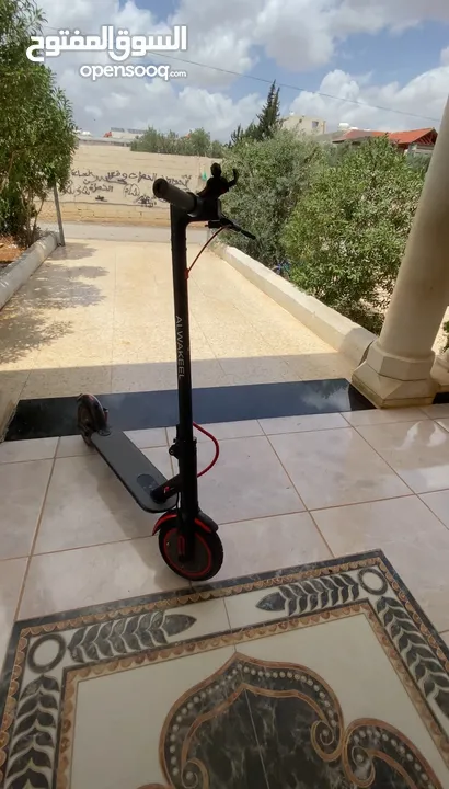 سكوتر جوردن