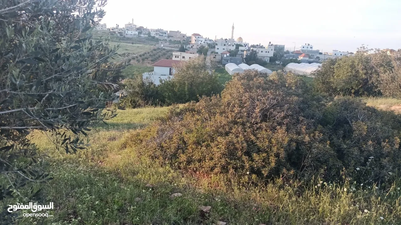 عقار للبيع