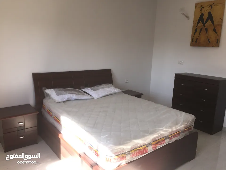 Furnished Apartment for Rent in Ramallah