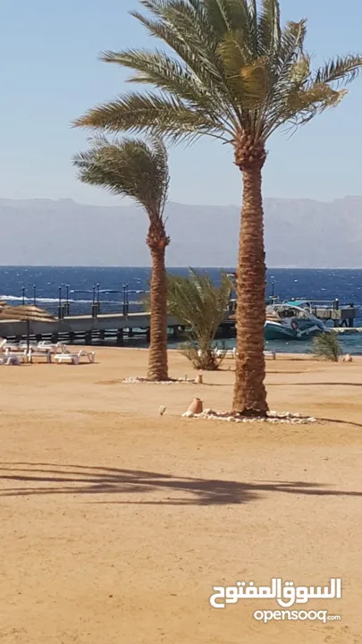 شاليه أرضي تالا بيه Tala bay for rent