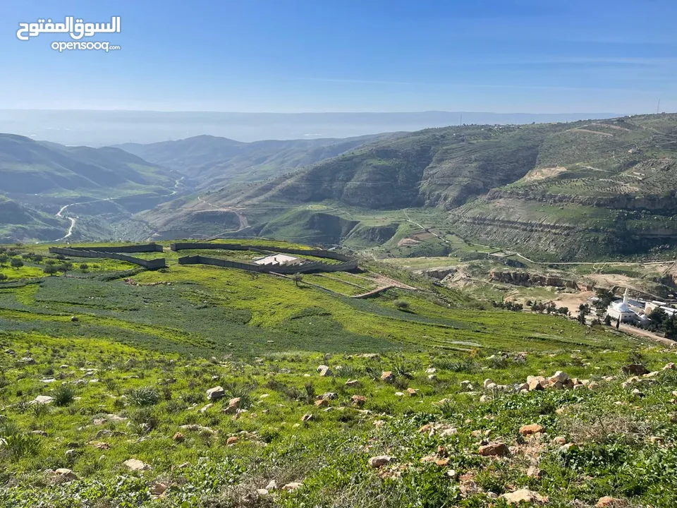 3.400 ماحص بعد الميده