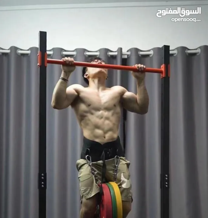 عقله كاليسثانيكس ارضيه