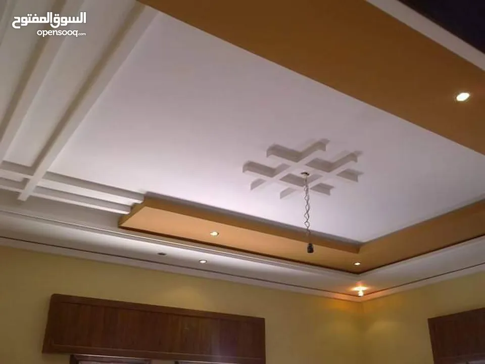 عمرو المصري للدهانات والطراشه والديكورات والعزل والصيانه العامه والعزل با احدث المواد