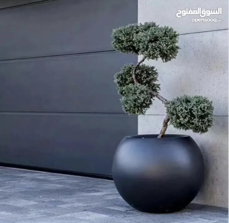 قواوير فايبر جلاس بشكل عصري أنيق #قواوير فايبر جلاس  #نباتات زينة ومثمر داخلي وخارجي  #إشراف مهندسين