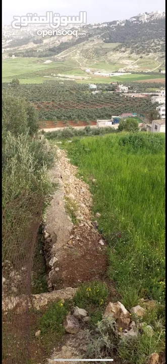 4 قطع اراضي للبيع في منطقة عين الباشا