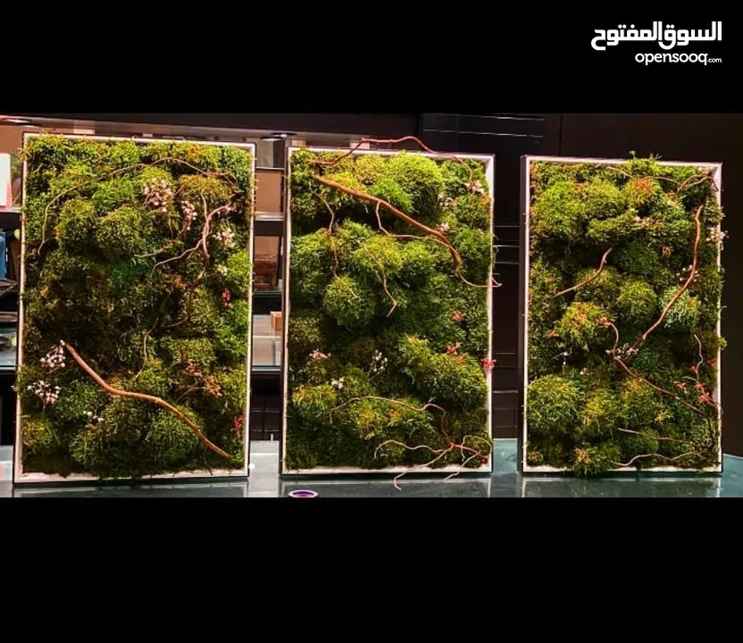 Moss walls for houses and office + Gallery 1 art work