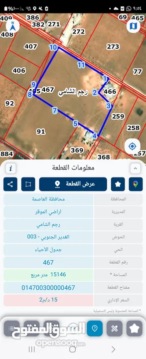 للبيع ارض 15 دونم في رجم الشامي شارعين الغدير الجنوبي 400 م عن شارع الميه