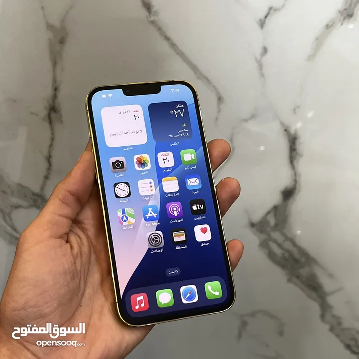 iPhone 13 Promax 256G