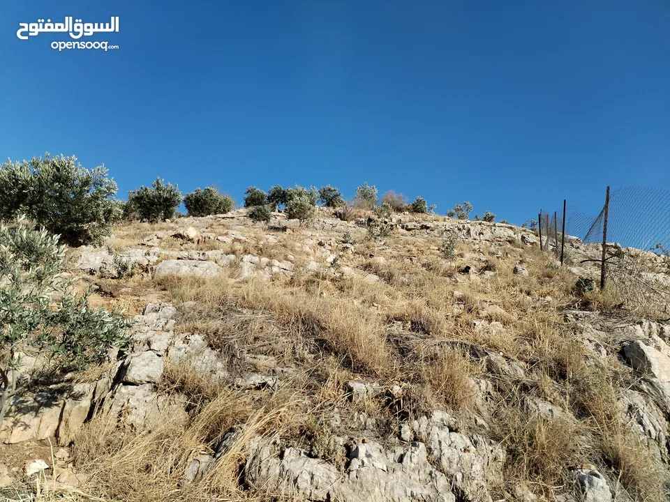 بيت للبيع مع قطعة أرض مشجره مساحه كبيره