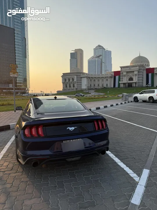 Mustang v4 ecoboost 2020 for sale