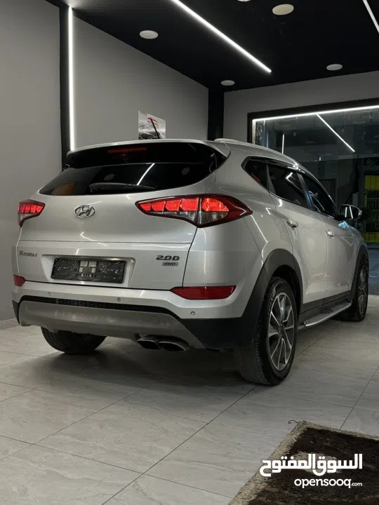 احمد سامي سليط