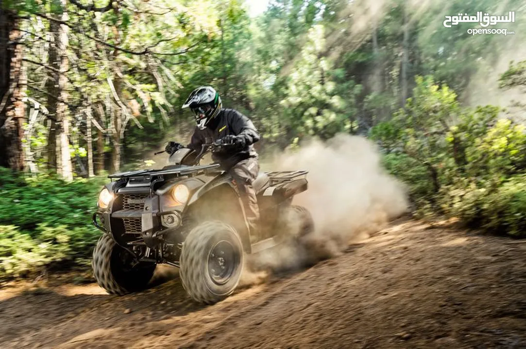 Kawasaki BRUTE FORCE 300
