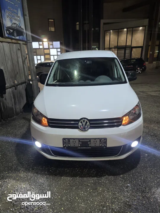 كادي شصي طويل