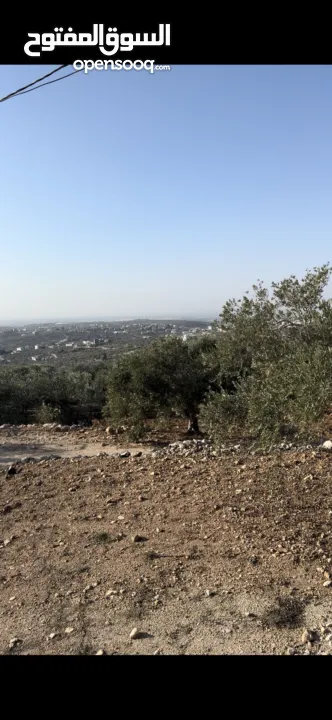 ارض للبيع في بلعا