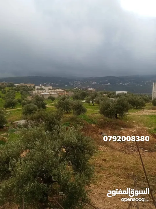 ي بلاش قطع مرتفعة مشجره جاهزه ومخدومه مجاوره للاحراش والغابات منطقة ام بطيمه قرب ترخيص جرش واتستراد