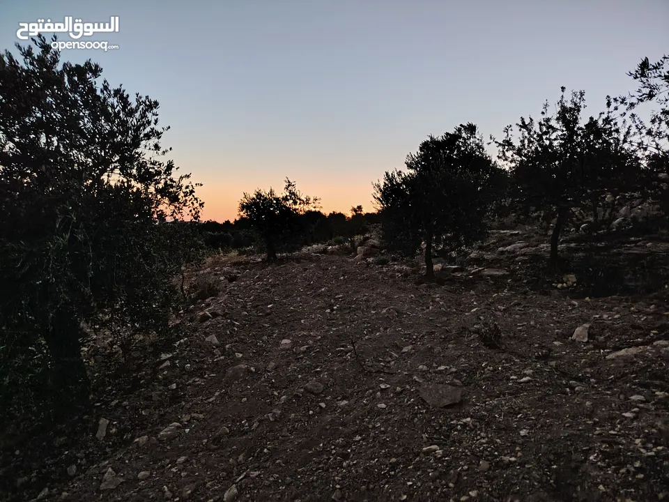 ارض للبيع 4300م على القوشان وعلى الواقع 12دونم متواجد بيت مساحة 380 متر طابقين +خزان يتسع50 متر