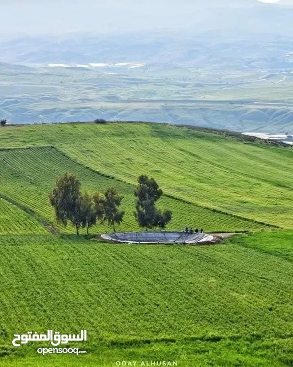 باصات حديثه للتوصيل 10 مقاعد مع السائق فقط توصيل لجميع انحاء المملكة  مطار الملكه علياء الجسر الملك