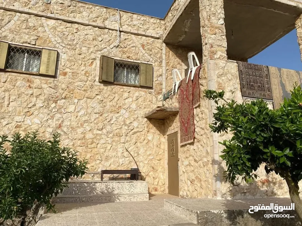 مزرعه للبيع في عجلون شمال شرق القلعه طريق مار الياس