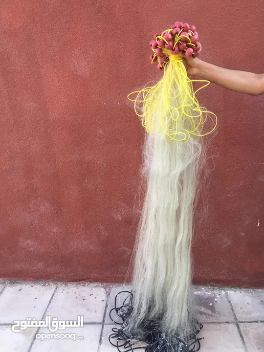 شبكة وسنارة