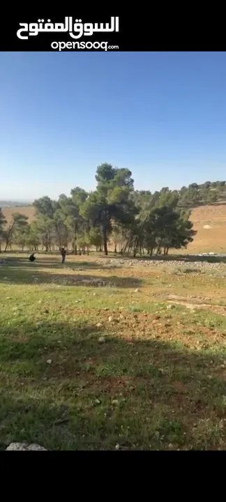 ارض مميزه للبيع  3 دونمات ونصف ارض مرتفعه مطله منطقه امنه  قطعة الارض تصلح  لبناء مزرعة او شاليه
