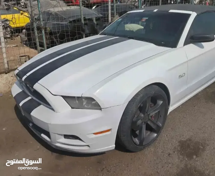 موستنغ كشف البيع كاش فقط